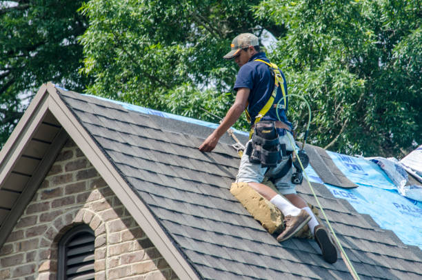 Roof Gutter Cleaning in St Bernard, OH